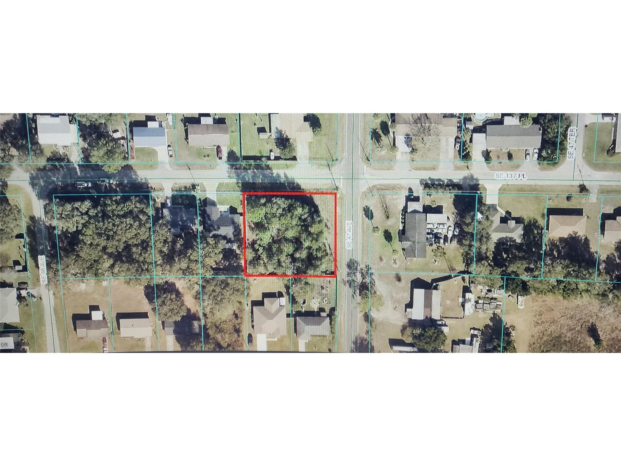 00 SE 137th Pl Summerfield FL 34491 OM681507 image1