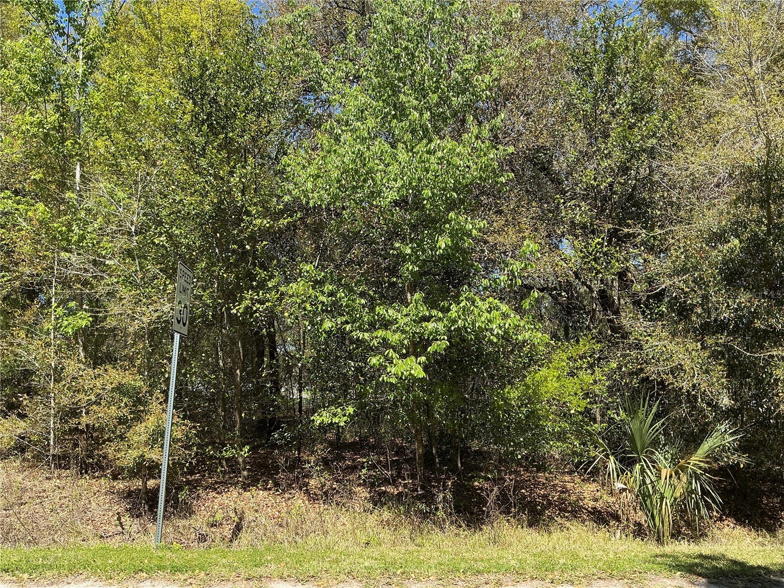 00 SE 139th Lane Summerfield FL 34491 OM715104 image1