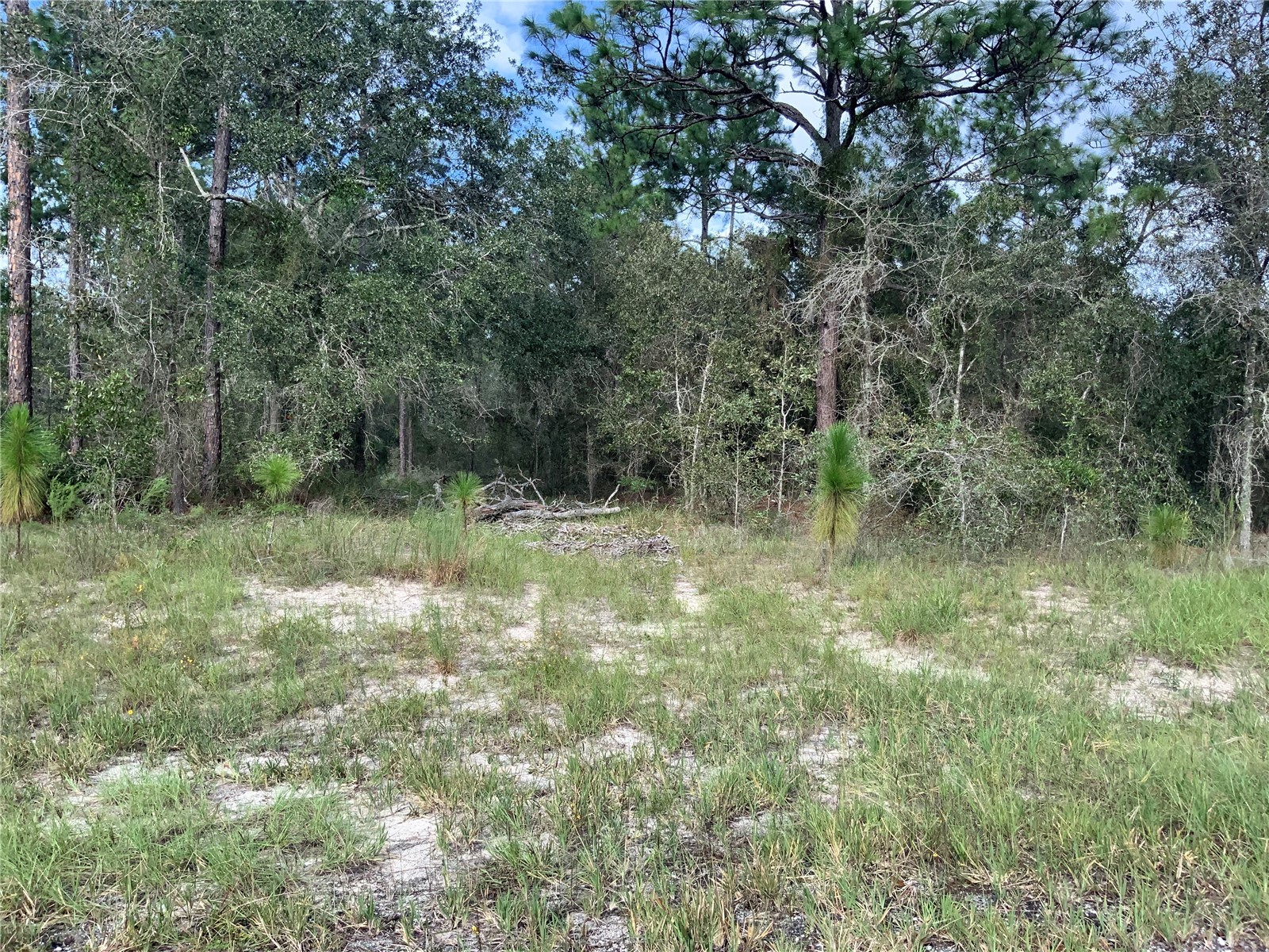 00 SE 139th Lot 23 Terrace Morriston FL 32668 OM723569 image2