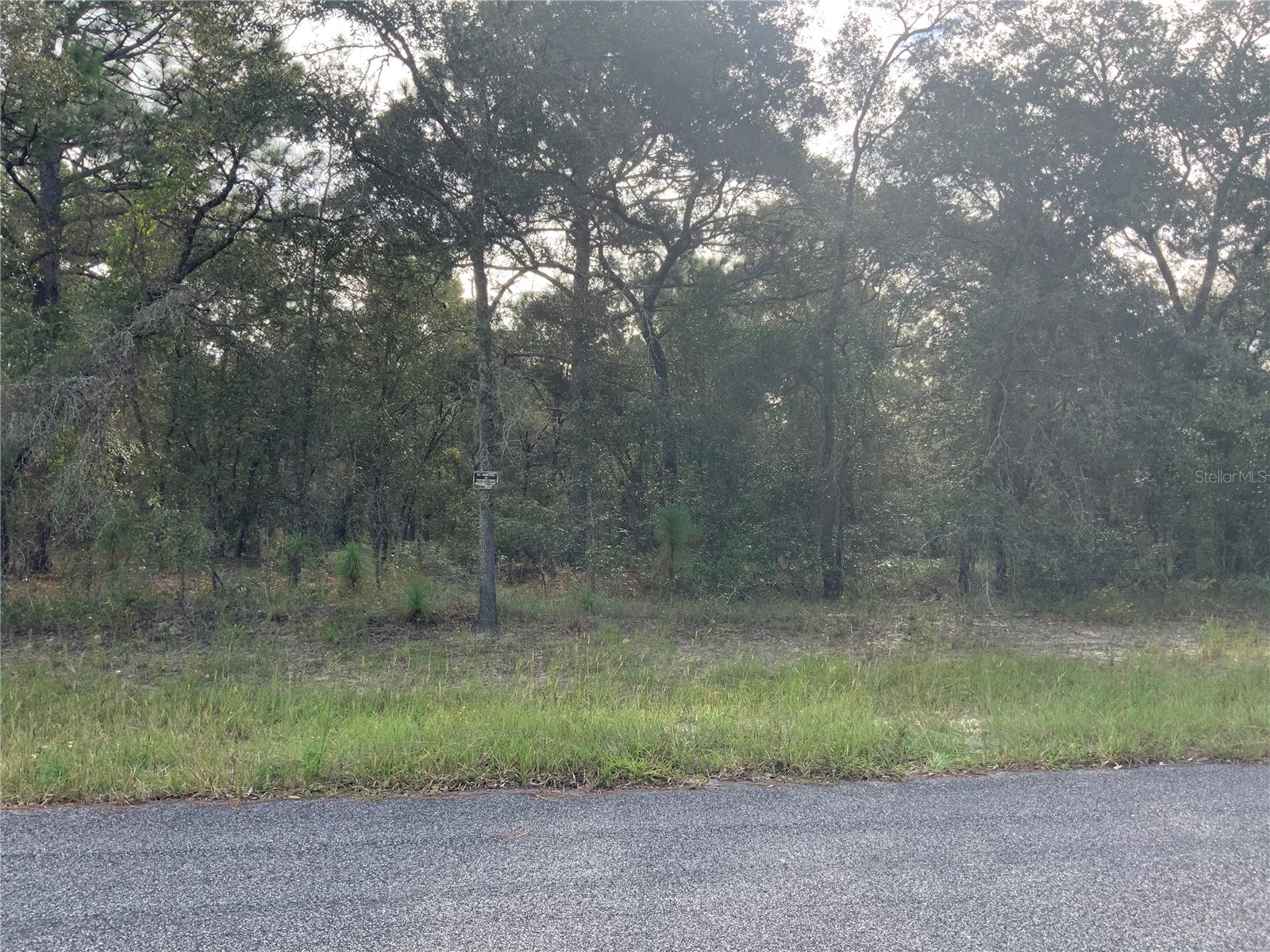 00 SE 139th Terr Lot 11 Morriston FL 32668 OM686428 image1