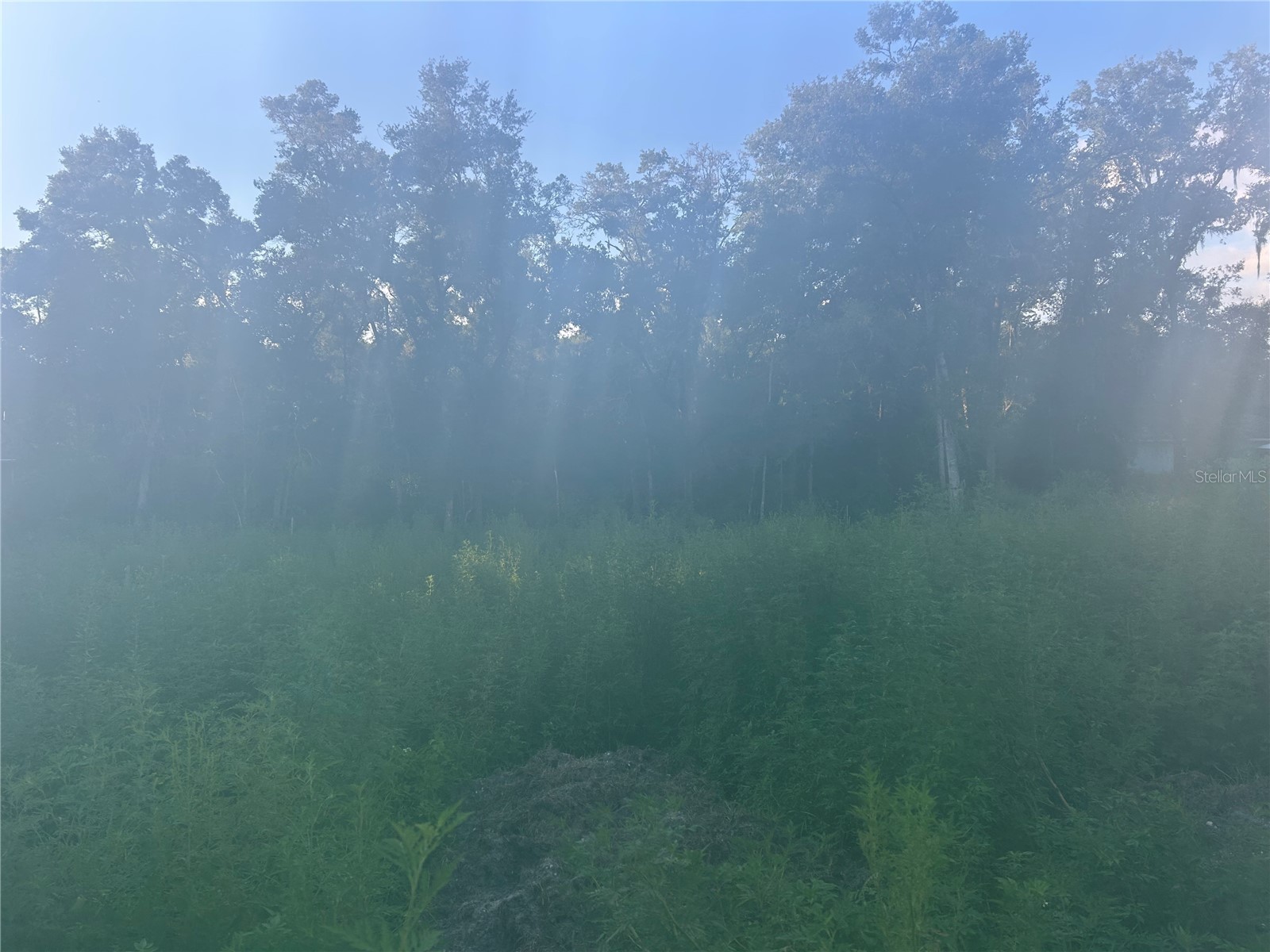 00 SE 140th Place Summerfield FL 34491 S5133166 image1