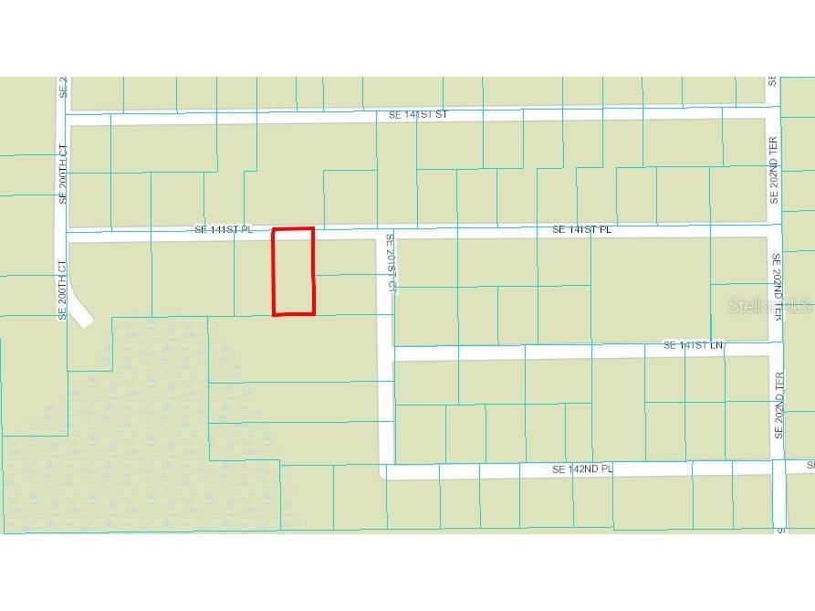 00 SE 141st Place Umatilla FL 32784 OM648138 image1