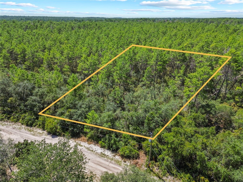 00 SE 142 Pl Umatilla FL 32784 OM706996 image1