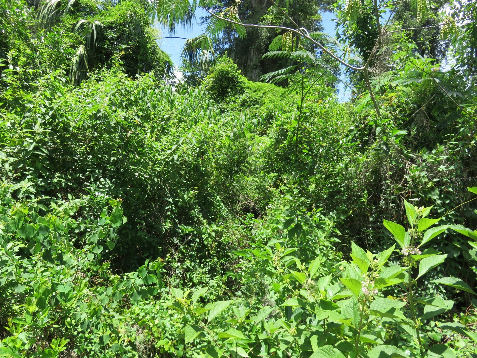 00 SE 142 Place Summerfield FL 34491 OM726496 image12