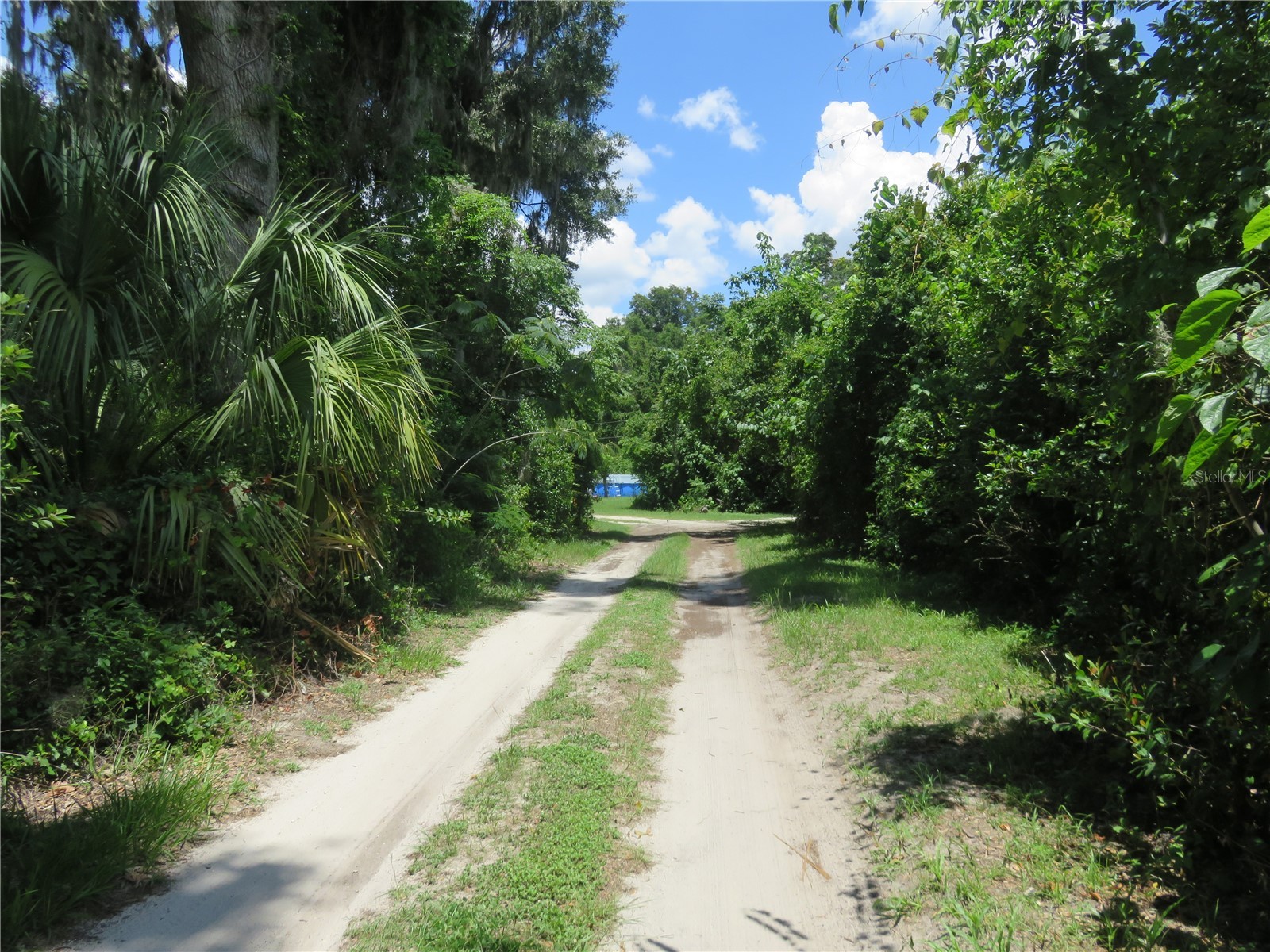 00 SE 142 Place Summerfield FL 34491 OM726496 image6