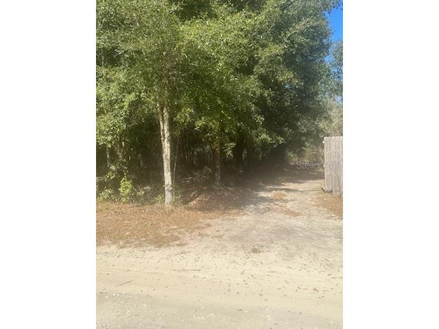 00 SE 144th Place Summerfield FL 34491 OM652787 image1
