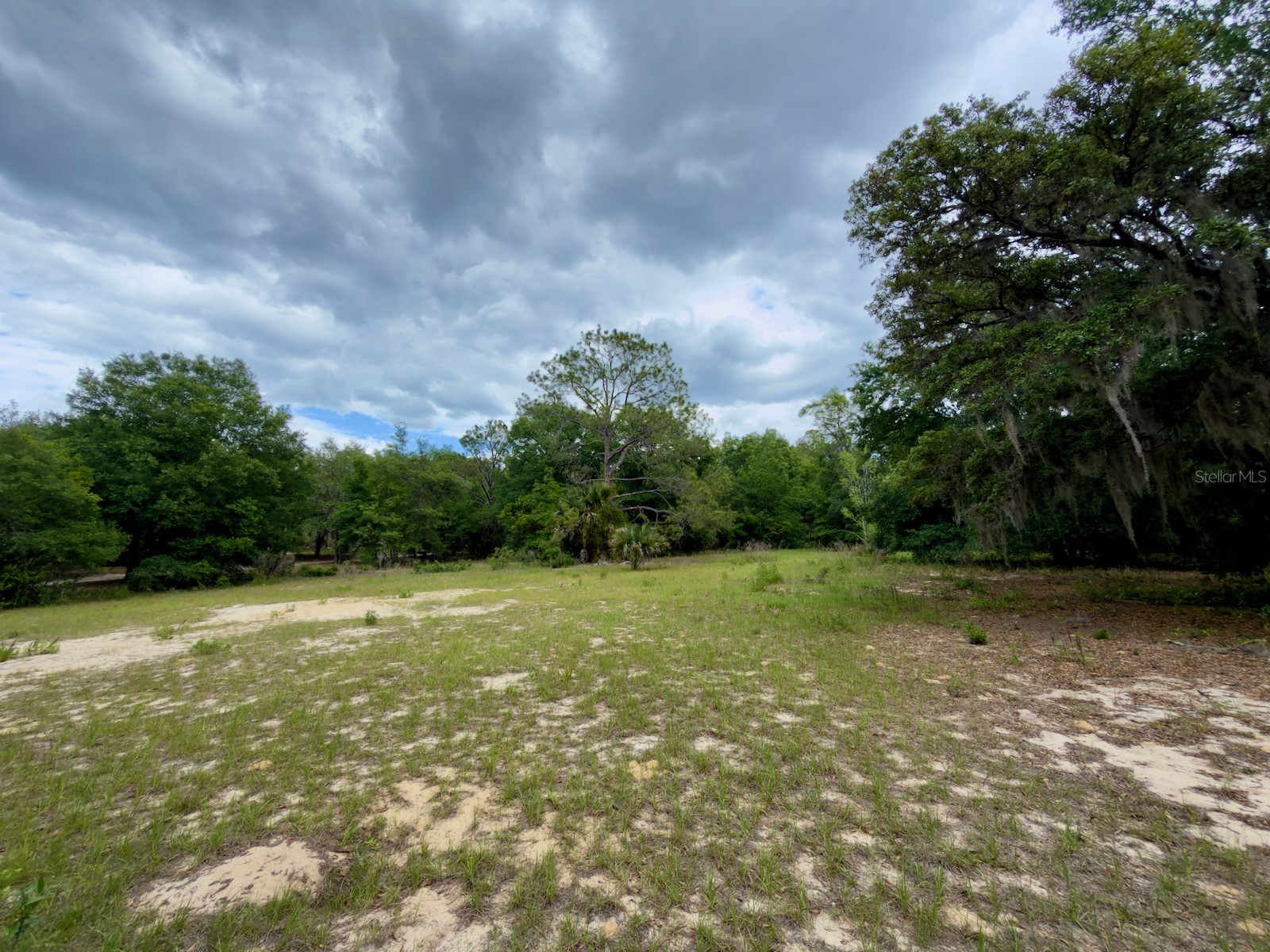 00 SE 146th Terrace Road Ocklawaha FL 32179 - CORONADO LAKE OM723873 image10