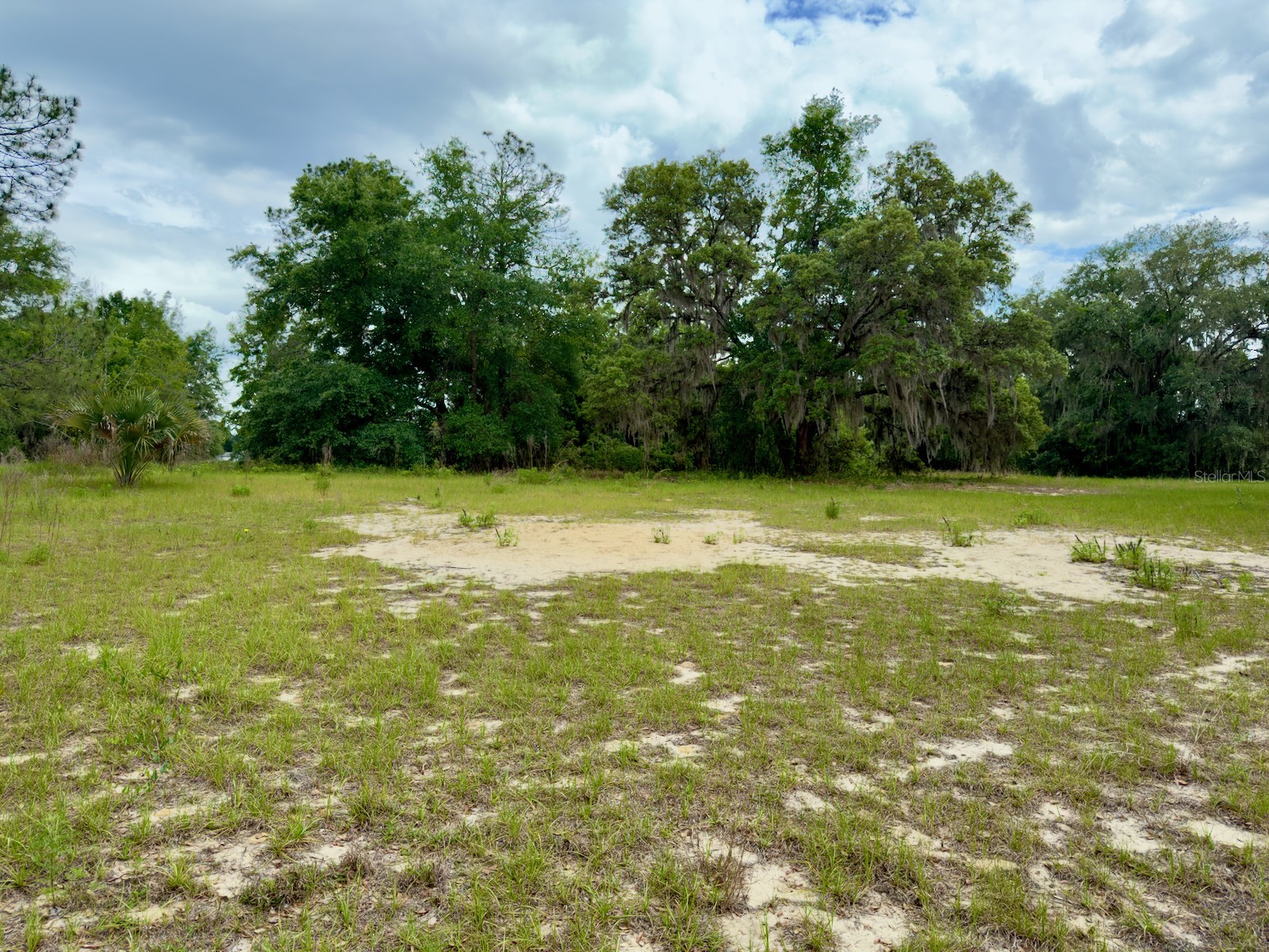 00 SE 146th Terrace Road Ocklawaha FL 32179 - CORONADO LAKE OM723873 image11