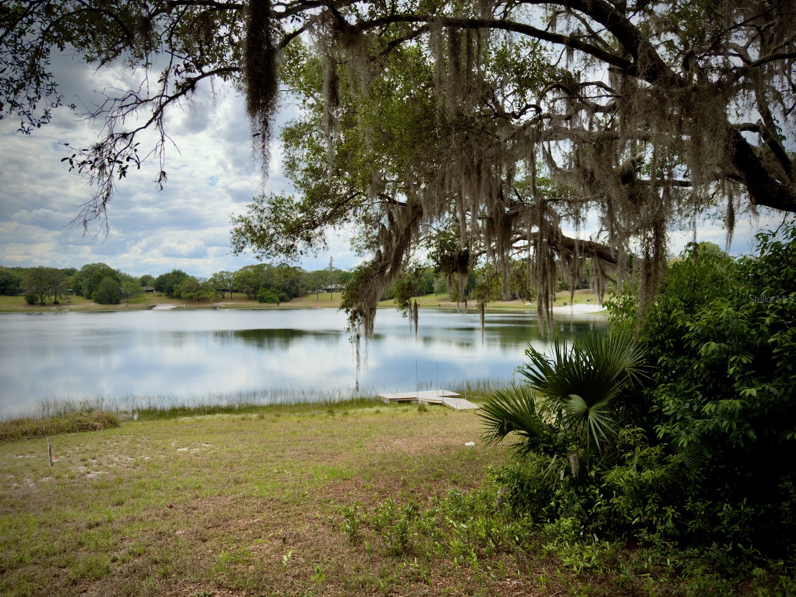 00 SE 146th Terrace Road Ocklawaha FL 32179 - CORONADO LAKE OM723873 image3