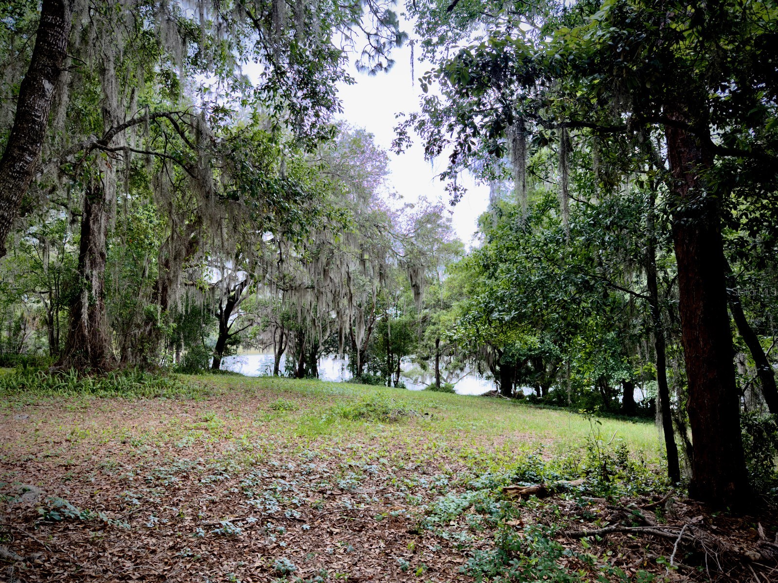 00 SE 146th Terrace Road Ocklawaha FL 32179 - CORONADO LAKE OM723873 image4
