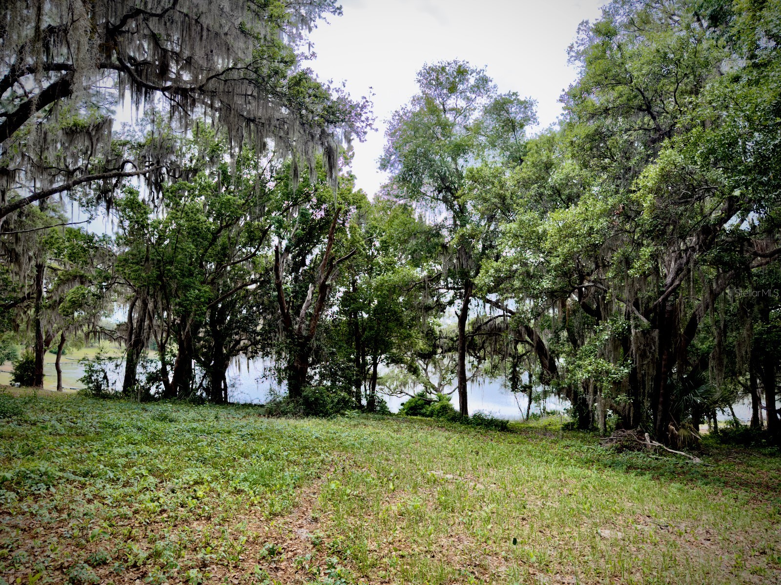 00 SE 146th Terrace Road Ocklawaha FL 32179 - CORONADO LAKE OM723873 image5
