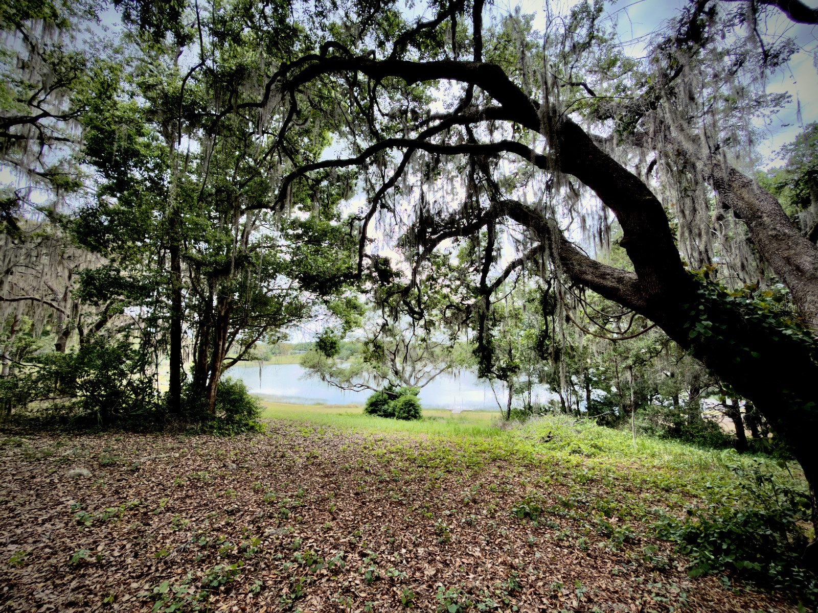 00 SE 146th Terrace Road Ocklawaha FL 32179 - CORONADO LAKE OM723873 image6