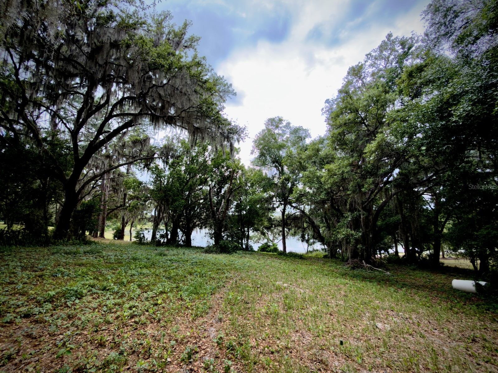 00 SE 146th Terrace Road Ocklawaha FL 32179 - CORONADO LAKE OM723873 image7