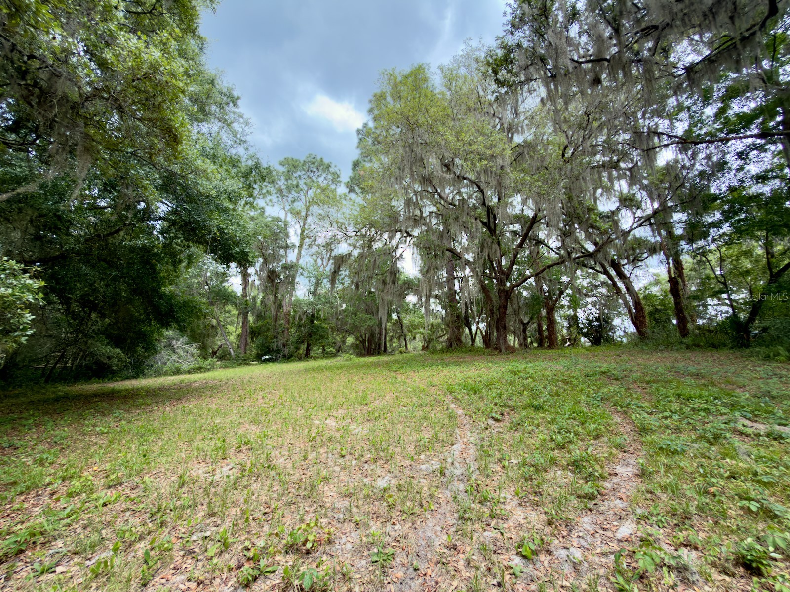 00 SE 146th Terrace Road Ocklawaha FL 32179 - CORONADO LAKE OM723873 image8