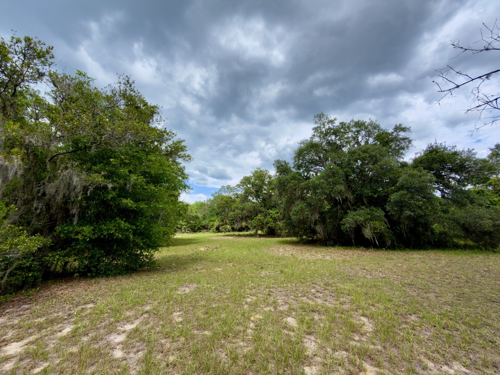 00 SE 146th Terrace Road Ocklawaha FL 32179 - CORONADO LAKE OM723873 image9