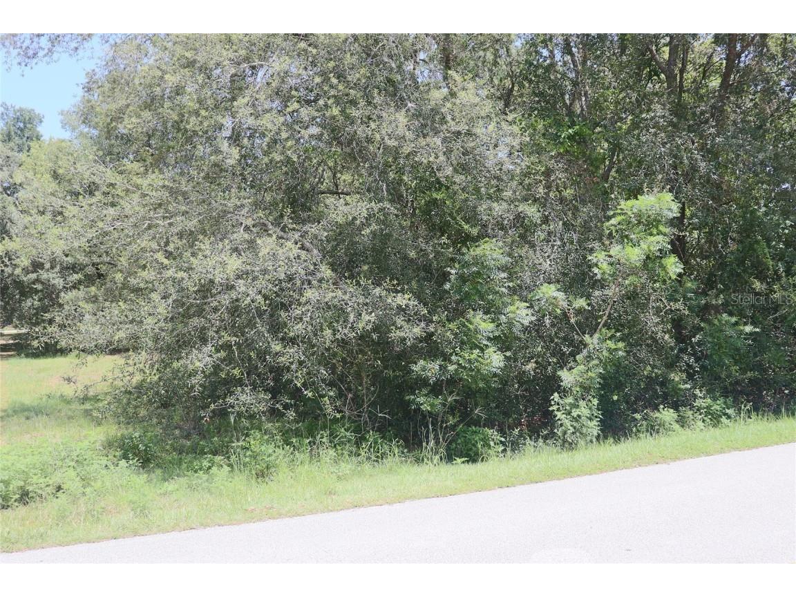 00 Se 156th Street Summerfield FL 34491 OM660364 image1