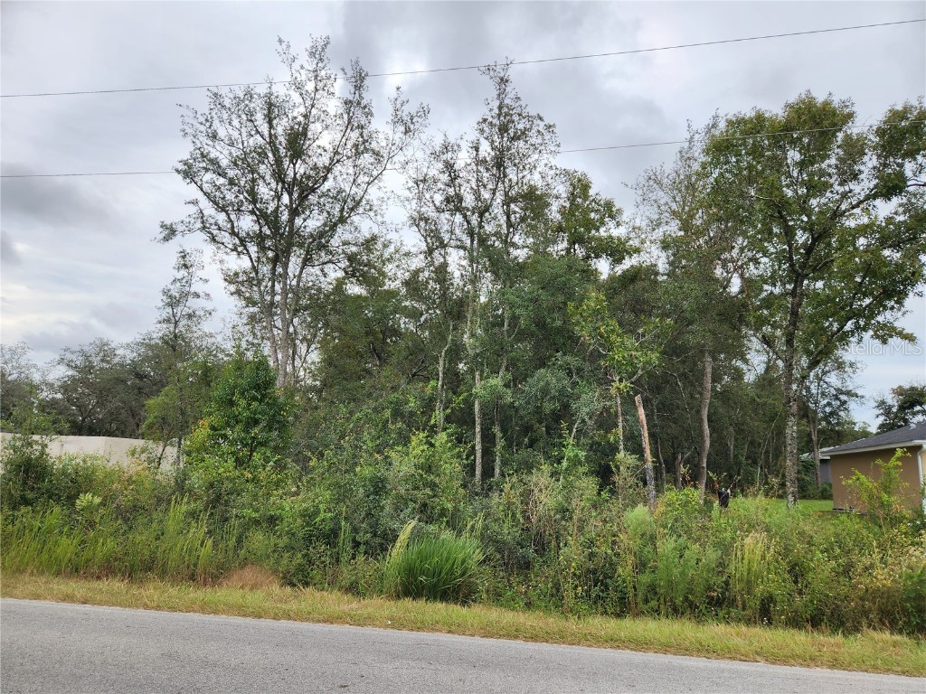 00 SE 157th Place Summerfield FL 34491 OM646852 image1