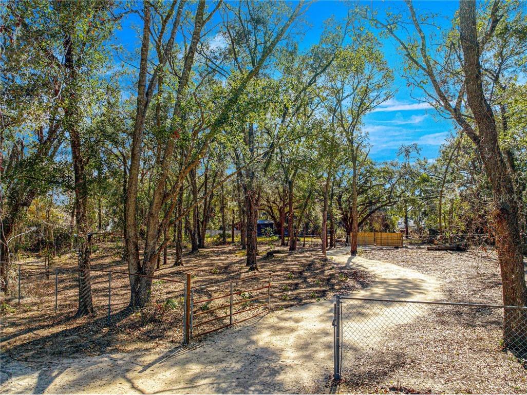 00 SE 159th Lane Summerfield FL 34491 OM694058 image1