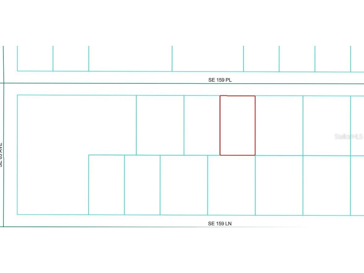 00 Se 159th Place Summerfield FL 34491 OM712069 image2