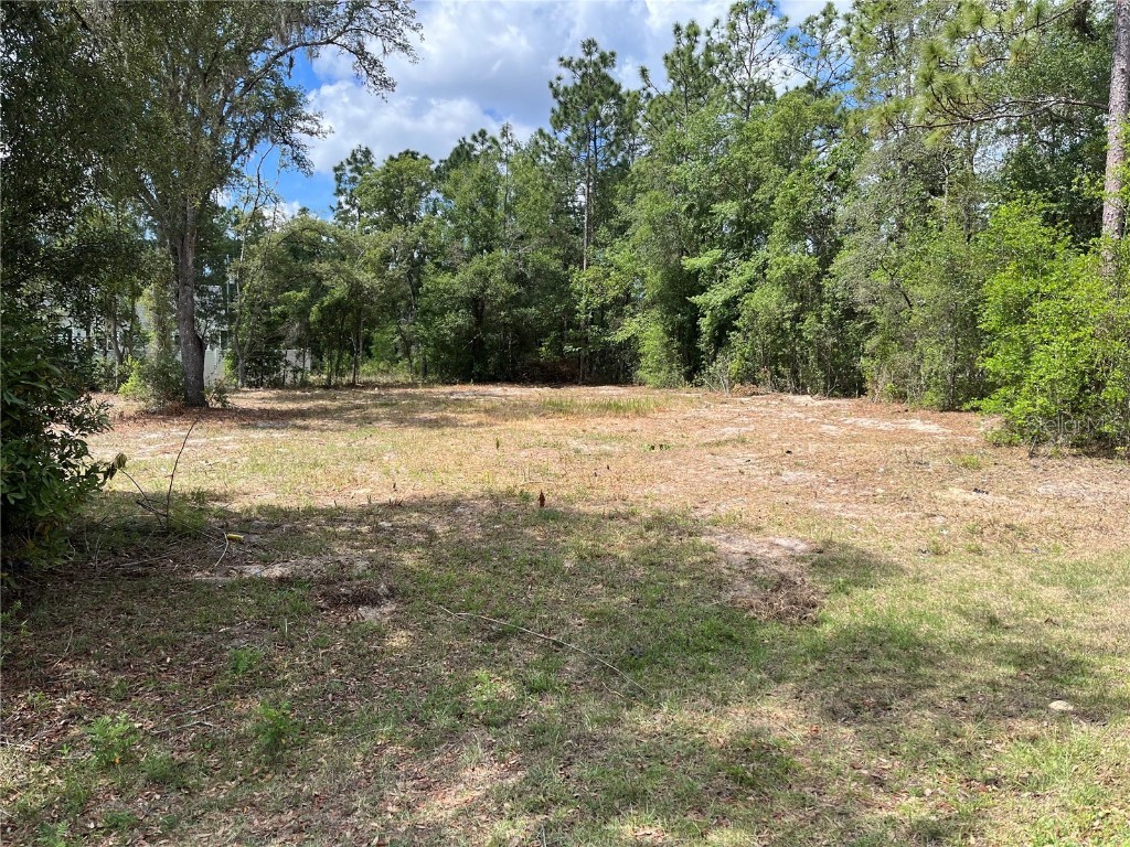 00 SE 161st Place Summerfield FL 34491 OM658275 image1