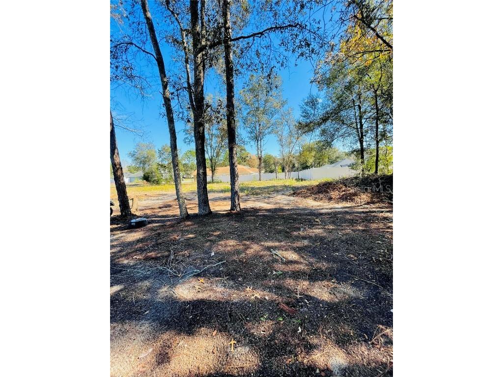 00 SE 161st Place Summerfield FL 34491 G5088334 image1