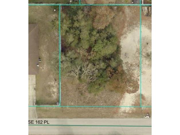 00 SE 162nd Place Summerfield FL 34491 J993917 image1
