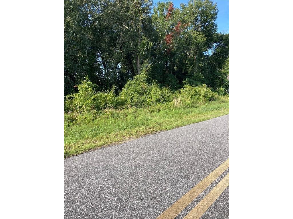 00 SE 164th Place Summerfield FL 34491 G5059884 image1