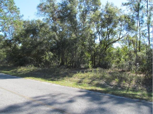 00 SE 169th Court Ocklawaha FL 32179 OM689982 image1