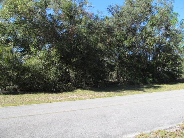 00 SE 169th Court Ocklawaha FL 32179 OM689982 image10