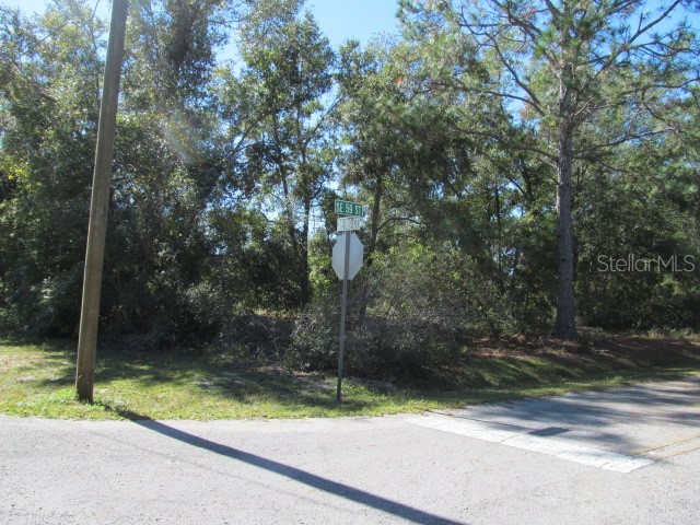 00 SE 169th Court Ocklawaha FL 32179 OM689982 image2