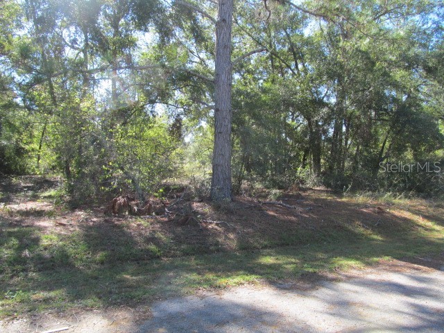 00 SE 169th Court Ocklawaha FL 32179 OM689982 image3