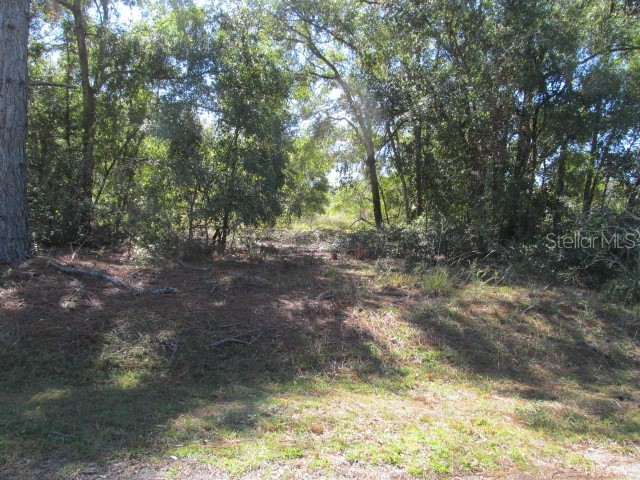 00 SE 169th Court Ocklawaha FL 32179 OM689982 image5