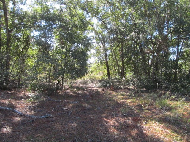 00 SE 169th Court Ocklawaha FL 32179 OM689982 image6
