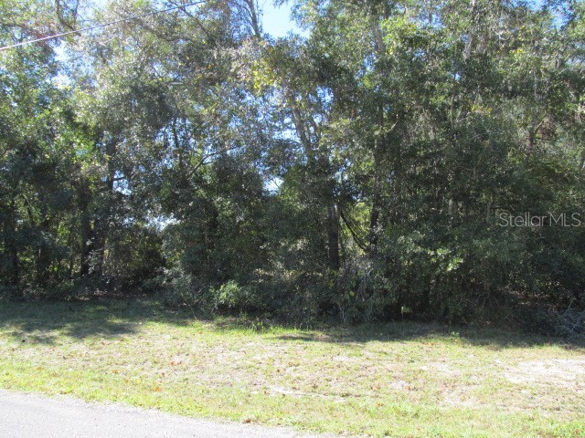 00 SE 169th Court Ocklawaha FL 32179 OM689982 image8
