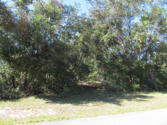 00 SE 169th Court Ocklawaha FL 32179 OM689982 image9