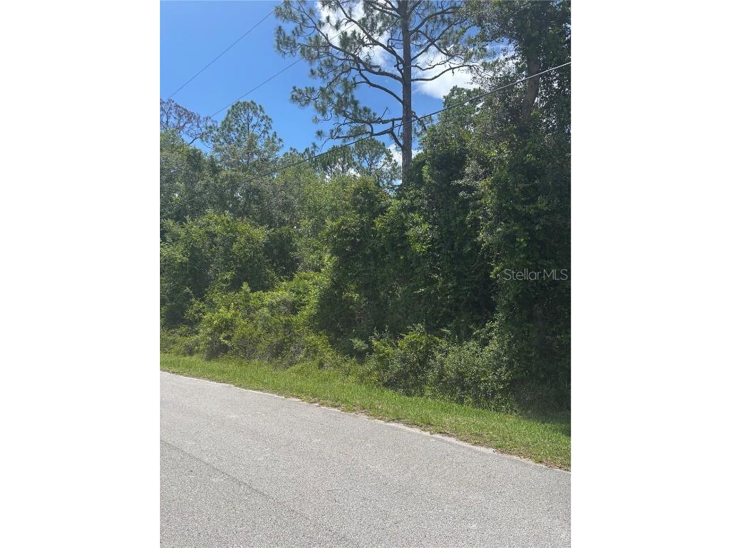 00 SE 186th Court Ocklawaha FL 32179 - WAYNES OM704296 image2