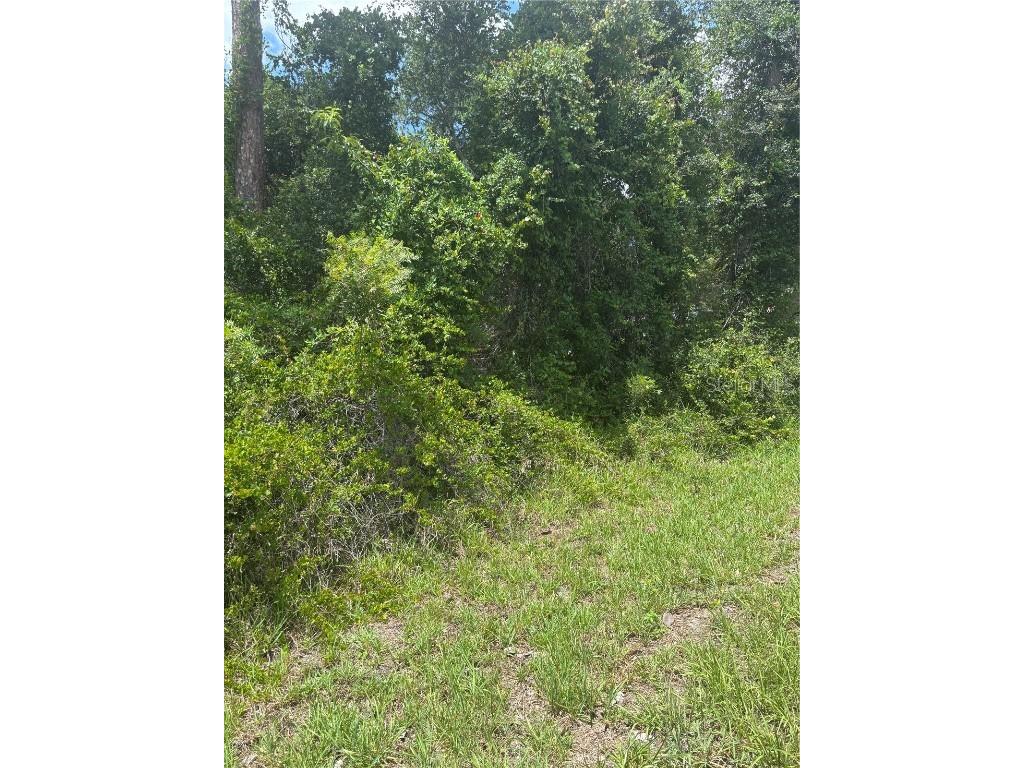 00 SE 186th Court Ocklawaha FL 32179 OM704885 image1