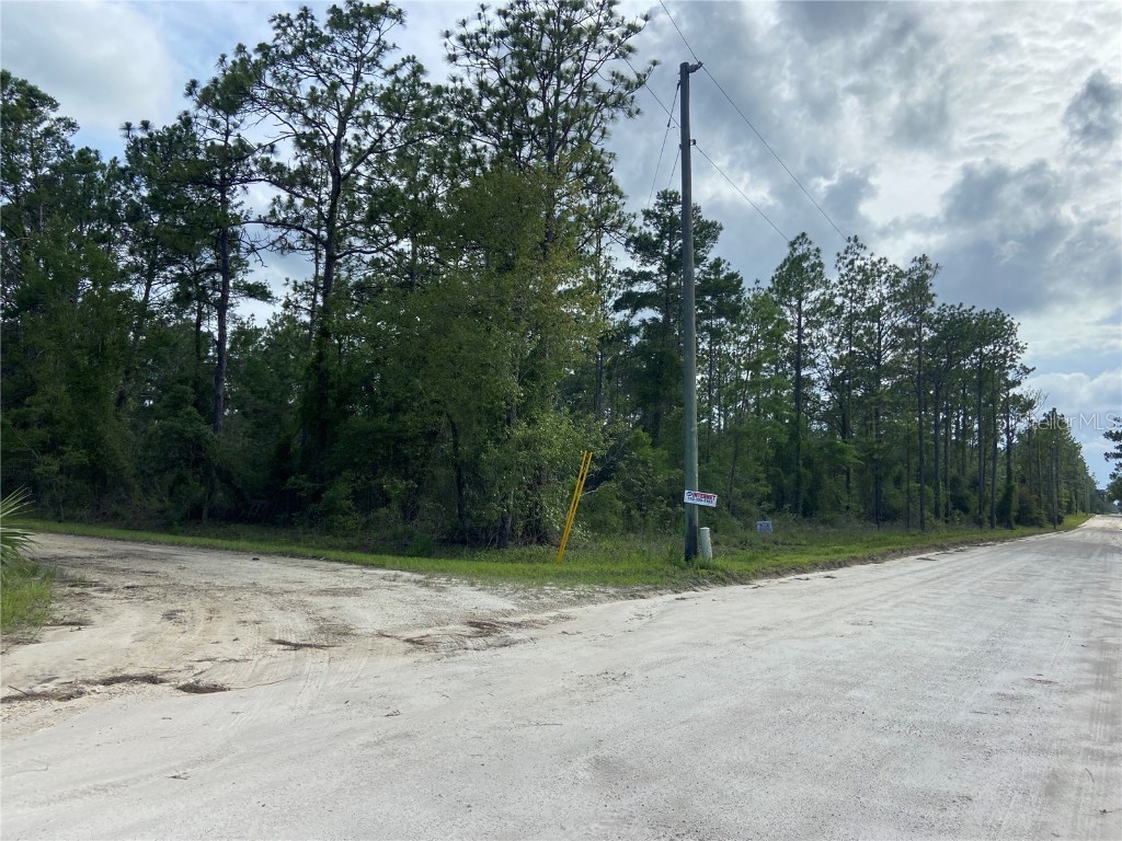 00 SE 20 Street Morriston FL 32668 A4575347 image1