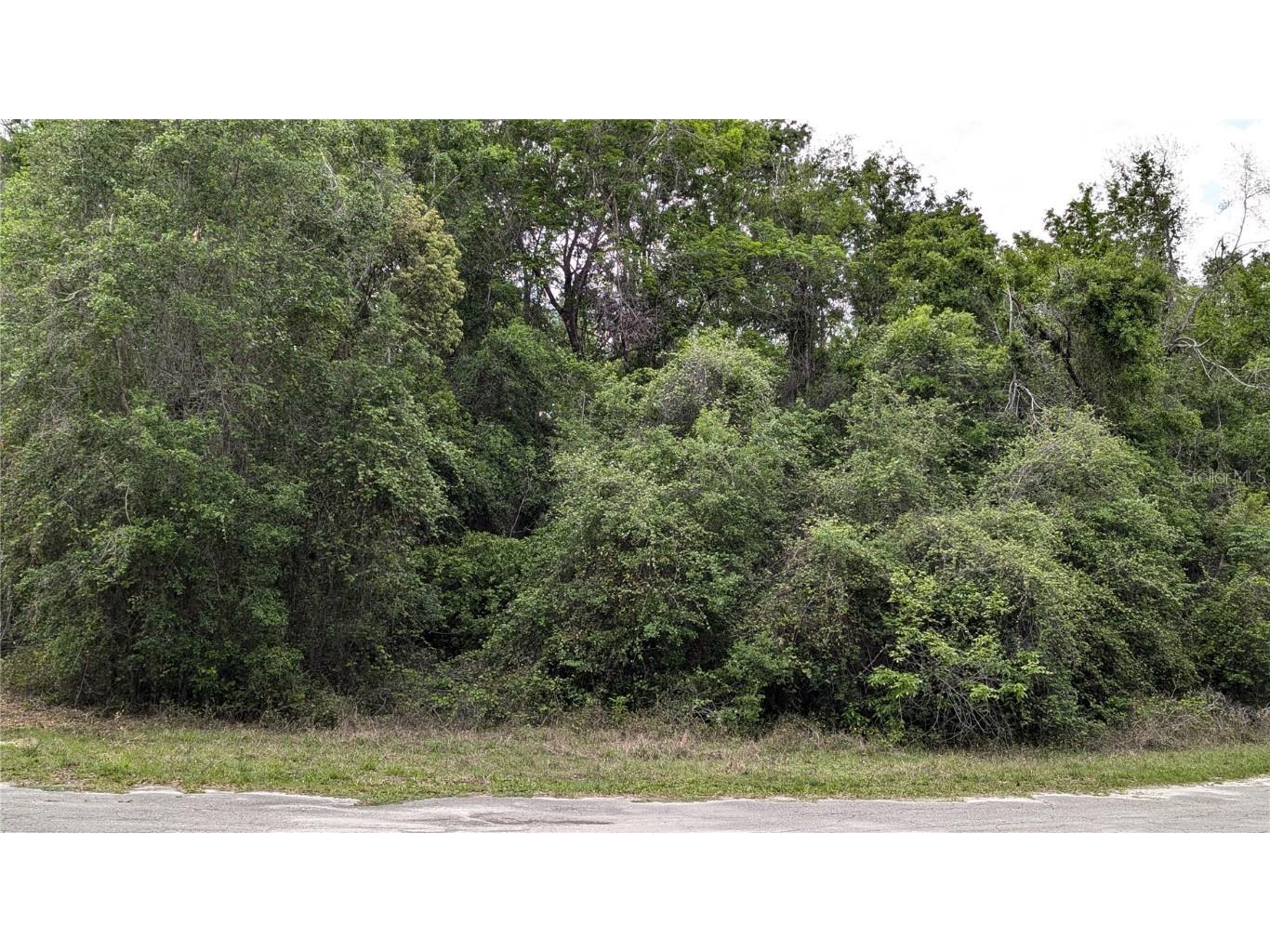 00 SE 23rd Lane Trenton FL 32693 GC529648 image1