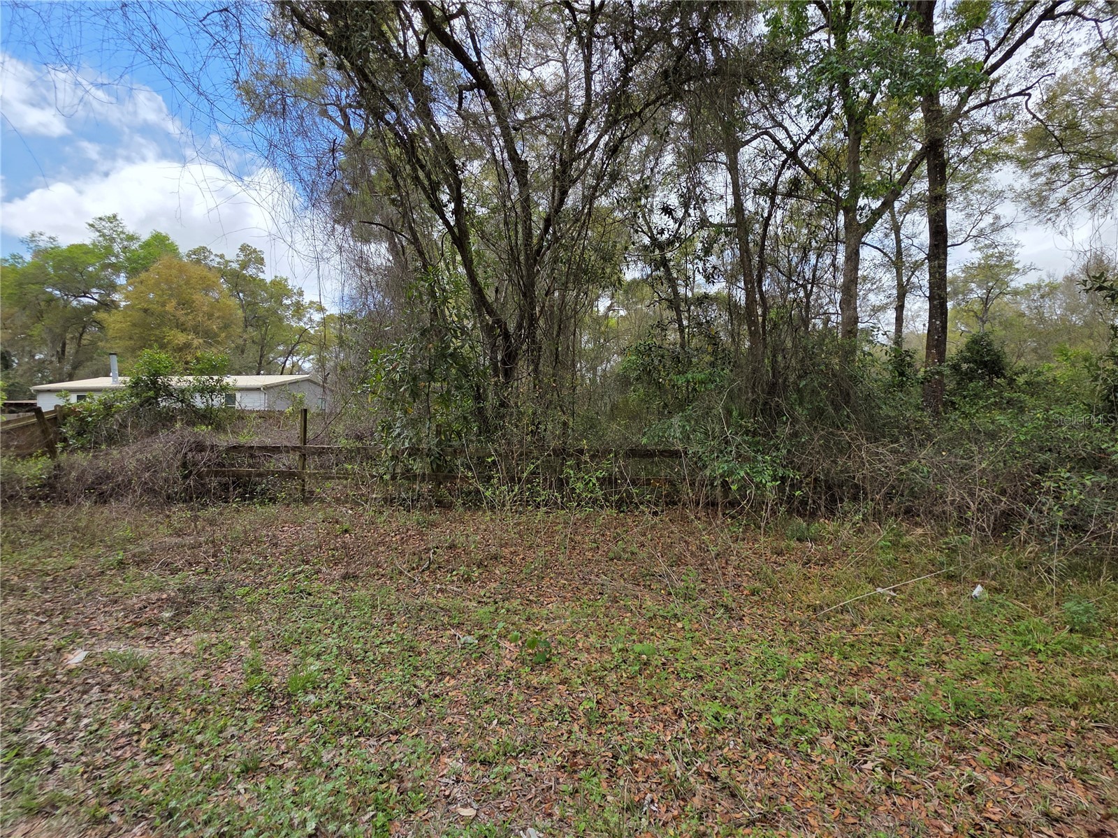 00 SE 30th Avenue Summerfield FL 34491 OM720823 image2