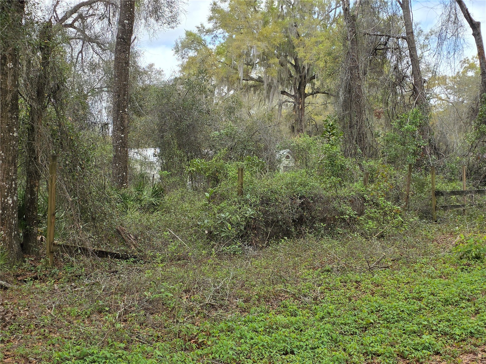 00 SE 30th Avenue Summerfield FL 34491 OM720823 image3