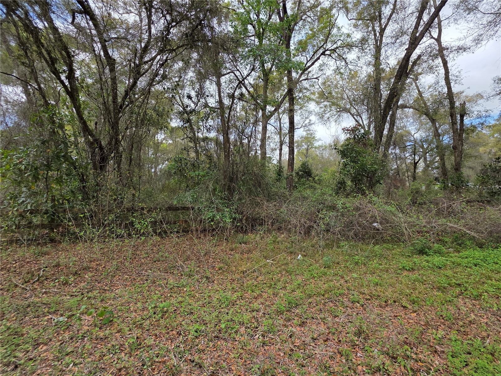 00 SE 30th Avenue Summerfield FL 34491 OM720823 image4