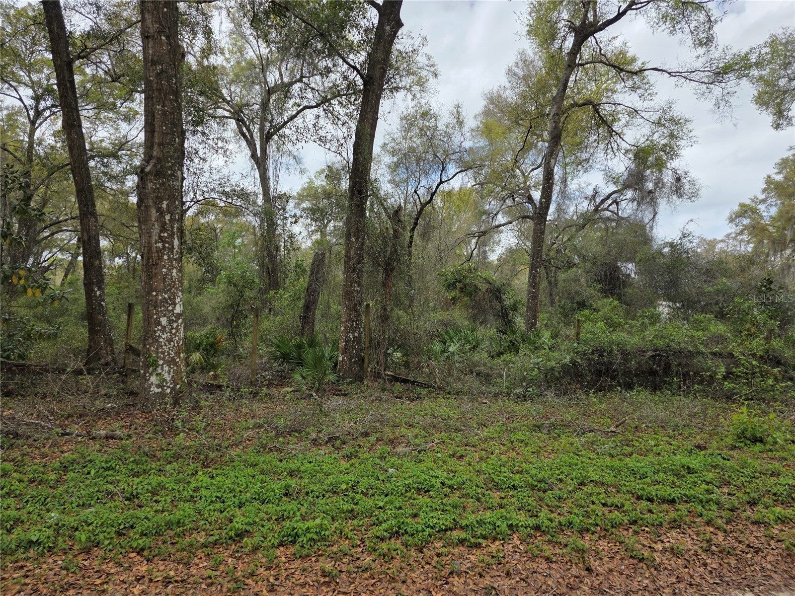 00 SE 30th Avenue Summerfield FL 34491 OM720823 image6