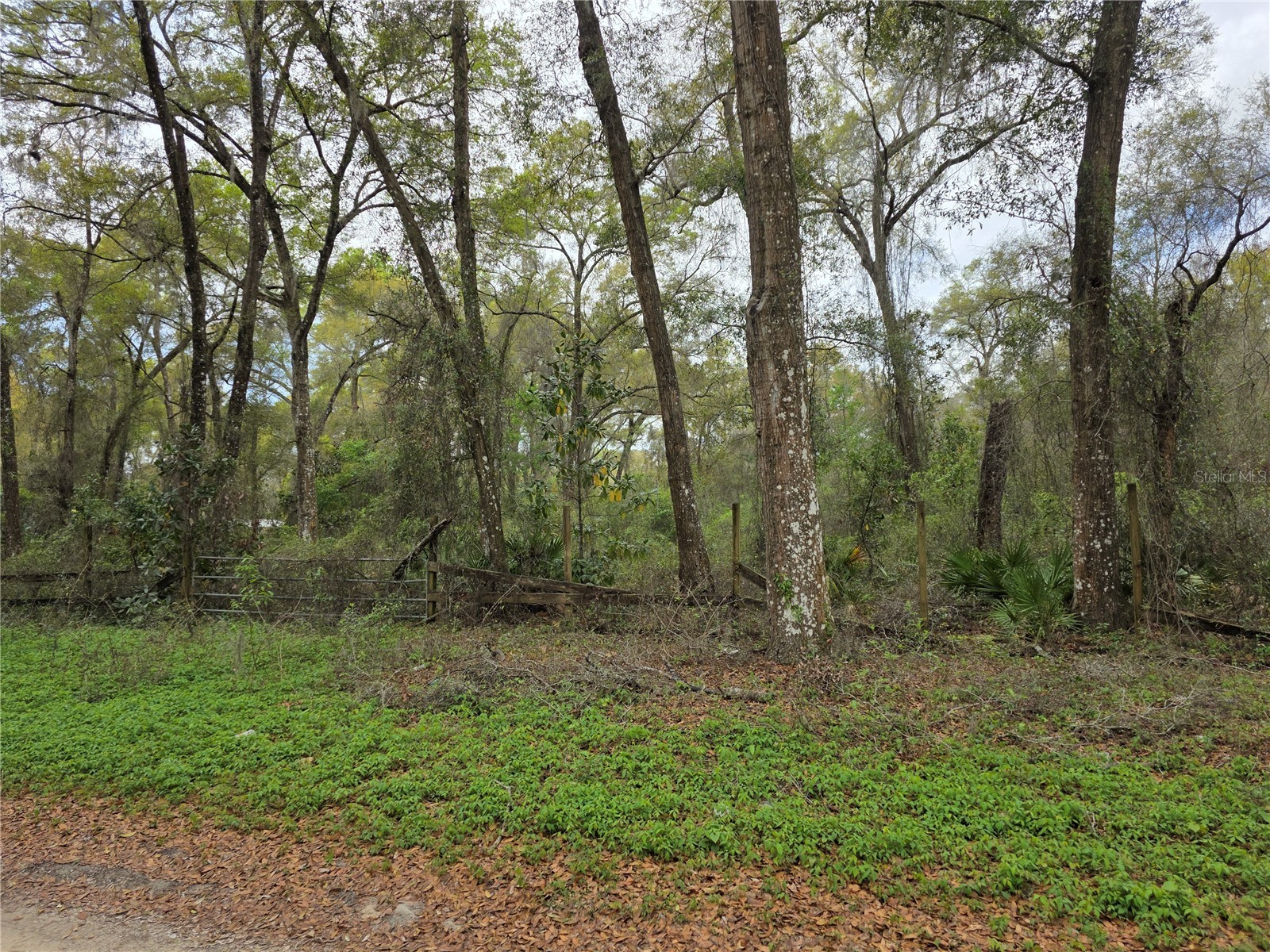 00 SE 30th Avenue Summerfield FL 34491 OM720823 image7