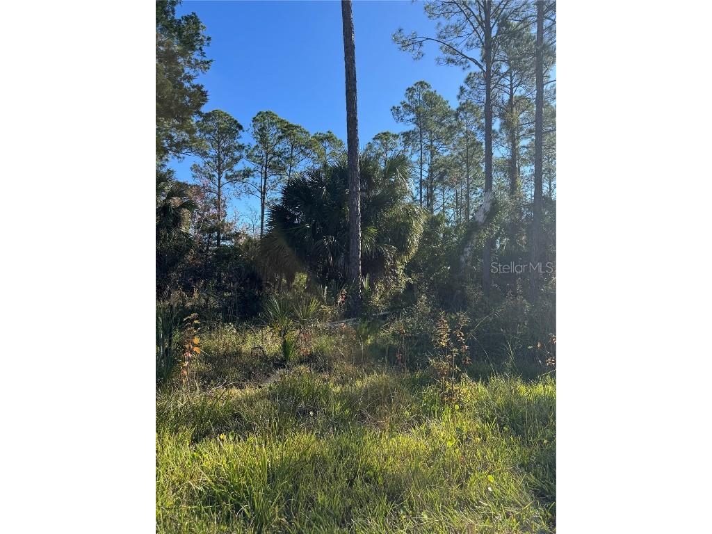 00 SE 330th St Old Town FL 32680 GC536076 image2