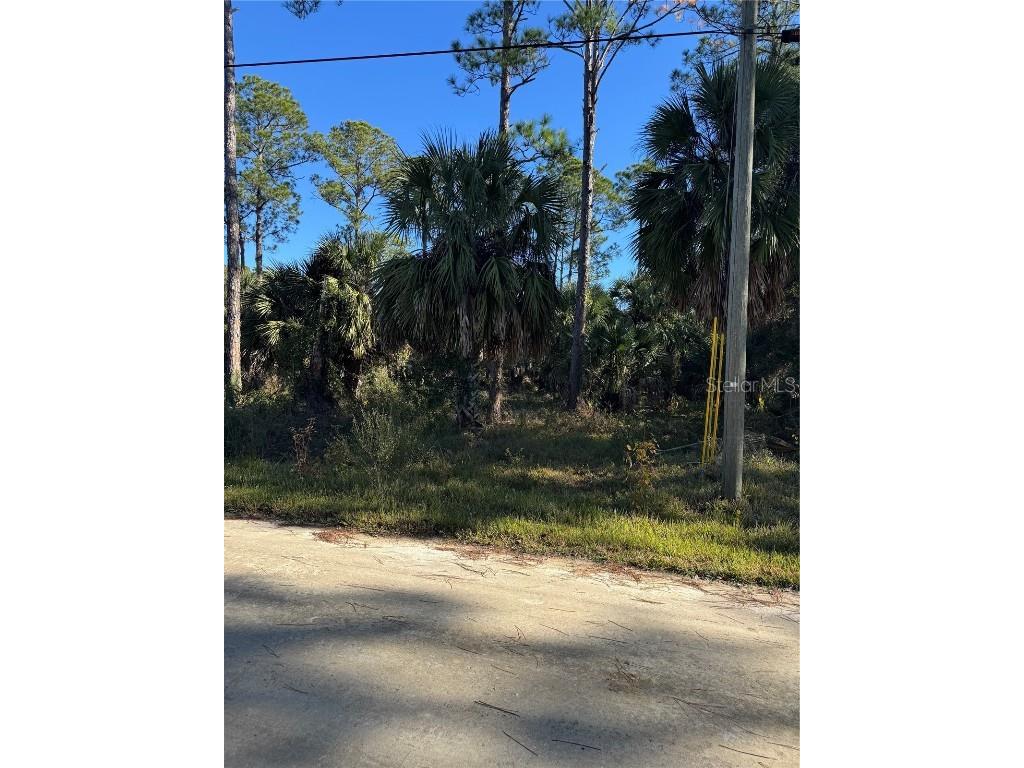 00 SE 330th St Old Town FL 32680 GC536076 image3