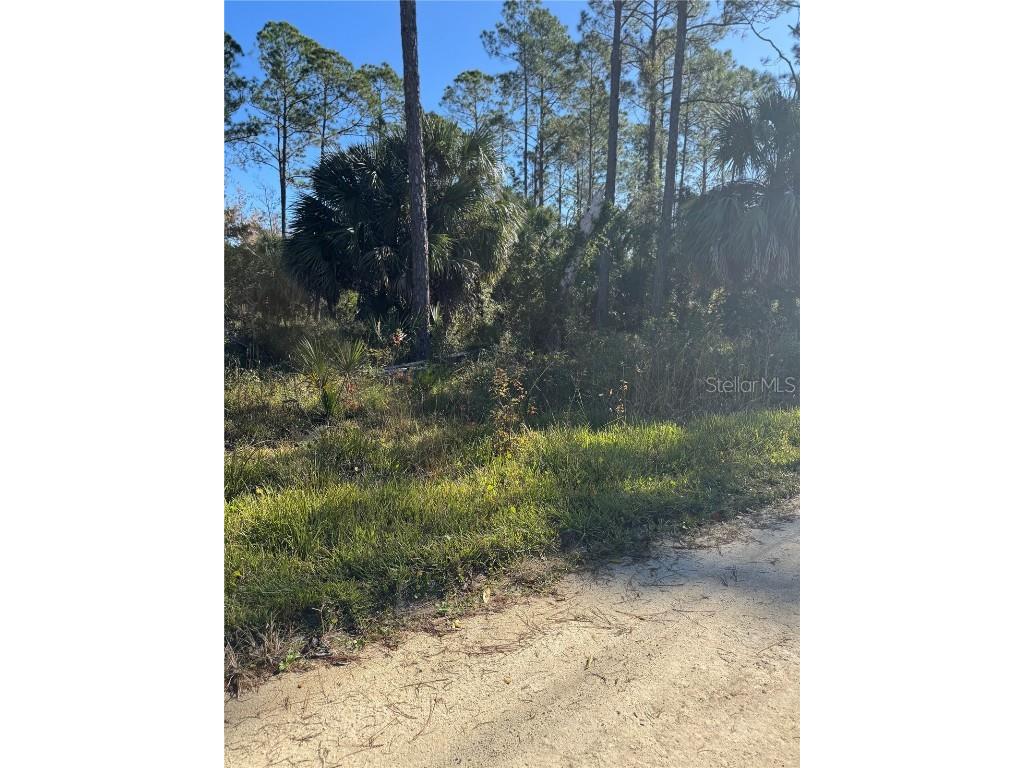 00 SE 330th St Old Town FL 32680 GC536076 image4