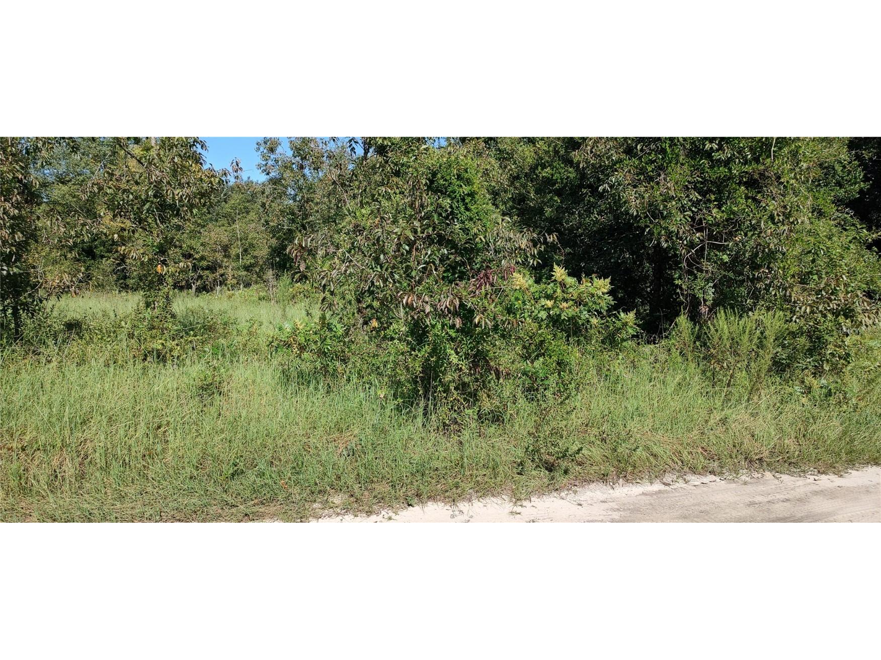 00 SE 33rd. Terrace Summerfield FL 34491 OM681655 image1