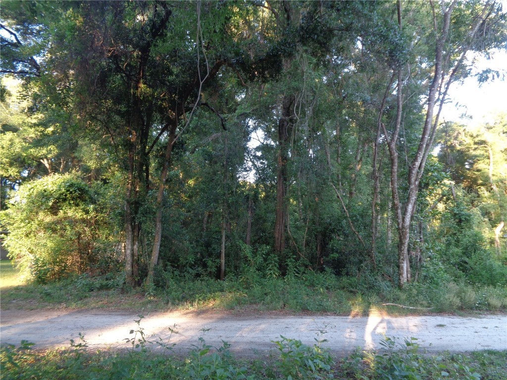 00 SE 34th Court Belleview FL 34420 S5082400 image1