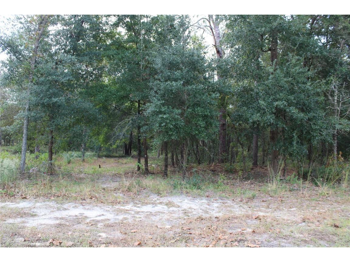 00 SE 42nd Street Keystone Heights FL 32656 GC500622 image1
